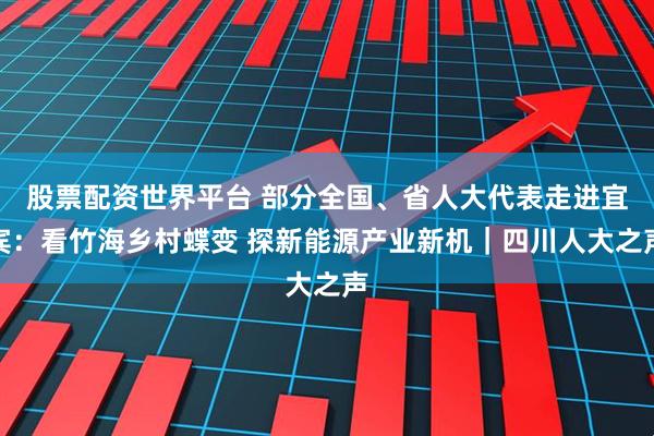 股票配资世界平台 部分全国、省人大代表走进宜宾：看竹海乡村蝶变 探新能源产业新机｜四川人大之声